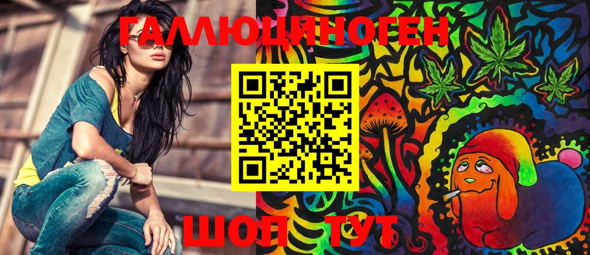Псилоцибиновые грибы Psilocybe Карталы